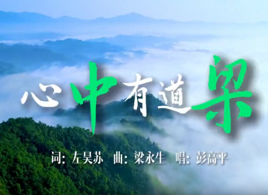 ������������MV�������е�����