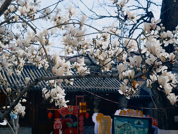 ��ů��ˮ������ | �������������Ⱦ�����