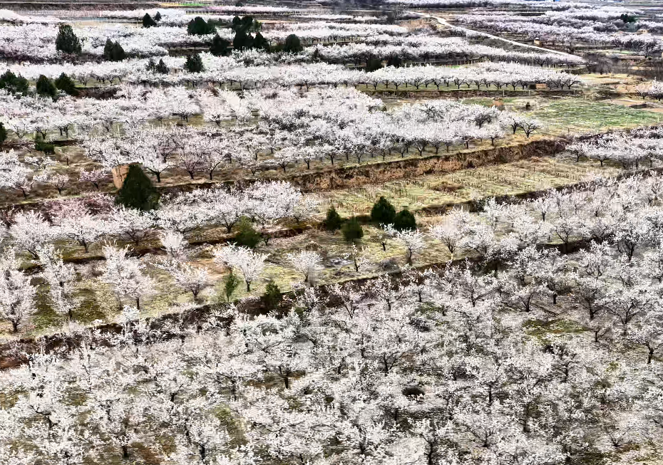 �����ˣ���ˮ���ߴ��㡰���ġ��������ֻ���