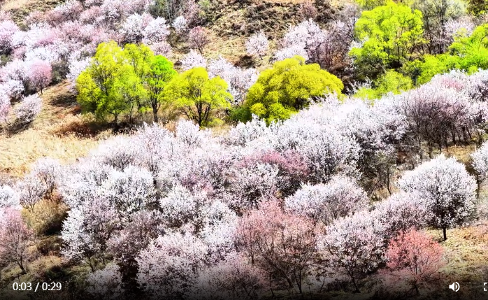 ��ů��ˮ������ һ·��������ɽ��